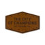 the-city-of-champions-leather